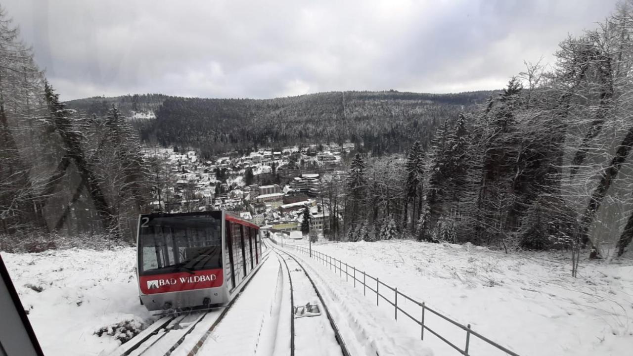 Apartment Wildbad Bad Wildbad Dış mekan fotoğraf